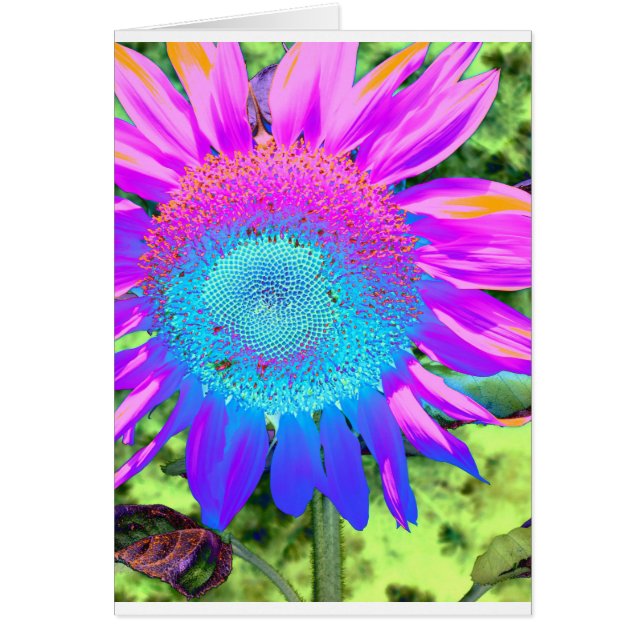 Elegant sunflower purple pink blue floral  (Front)