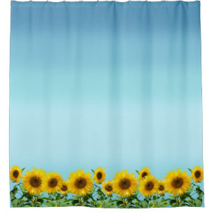 Elegant Sunflowers on Sky Blue Shades