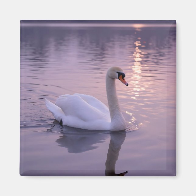 Elegant Swan Sunset Magnet (Front)