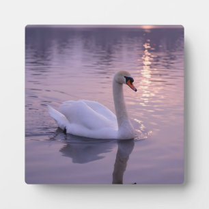 Elegant Swan Sunset Plaque