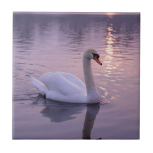 Elegant Swan Sunset Tile