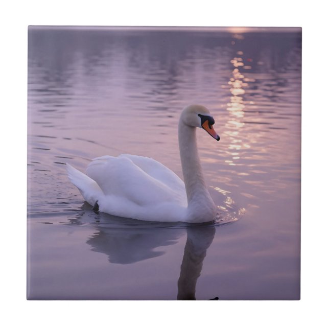 Elegant Swan Sunset Tile (Front)
