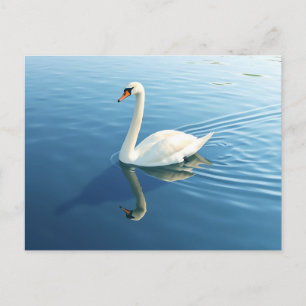 Elegant Swan Watercolor on a Tranquil Lake Postcard