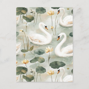Elegant swans Postcard