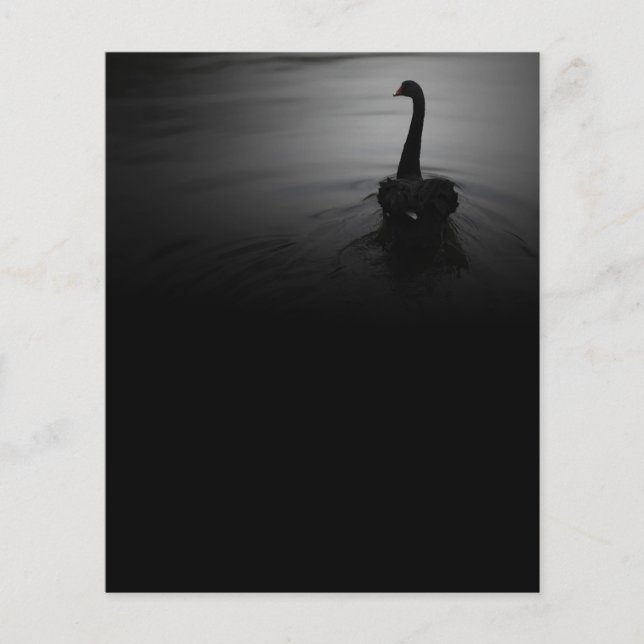 Elegant Swimming Black Swan Flyer (Front)