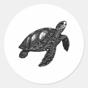 Elegant Swimming Old Water Turtle Classic Round Sticker