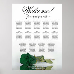 Élégant tableau 14 Rose vert émeraude