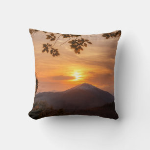 elegant throw pillow