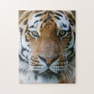Elegant Tiger Portrait Jigsaw Puzzle