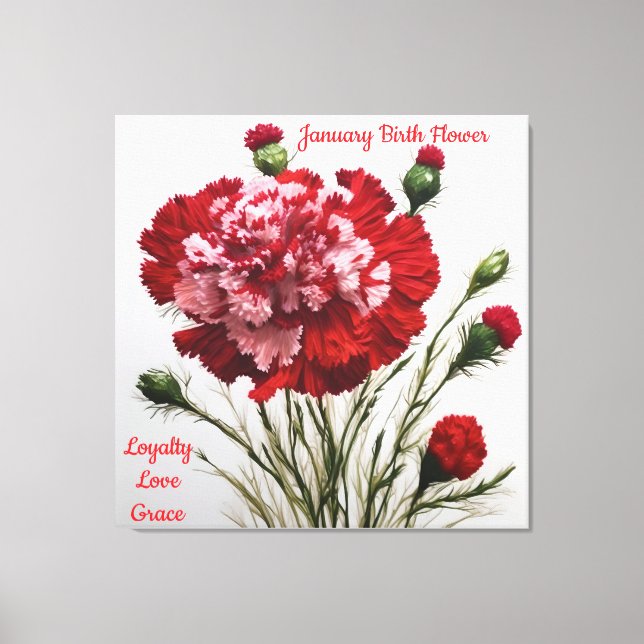Elegant & Timeless January Birth Flower Carnation  Canvas Print (Front)