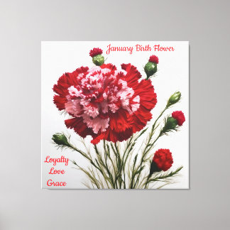 Elegant & Timeless January Birth Flower Carnation Canvas Print