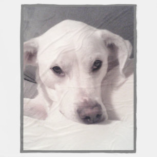 Elegant Tired Eyes Cute Labrador Mix Dog Grey Fleece Blanket