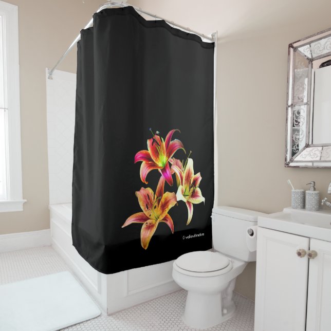 Elegant Trio of Yellow Pink Daylilies Floral (In Situ)