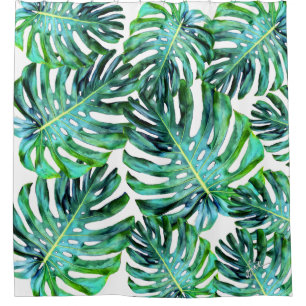 Elegant Tropical Hawaii Monstera Leaf Photograph