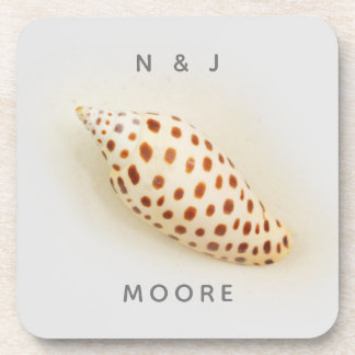 Elegant Tropical Junonia Florida Beach Shell Name Coaster