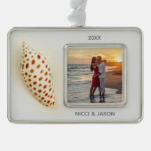 Elegant Tropical Junonia Florida Beach Shell Photo