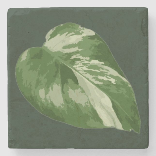 Elegant Tropical Leaf Coaster – Rare Plant Art (Front)