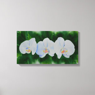 Elegant tropical white watercolor orchid painting canvas print