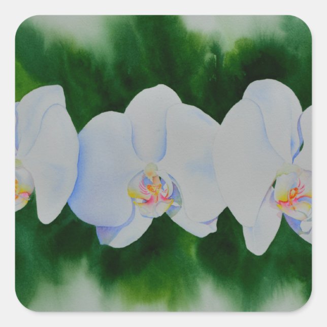 Elegant tropical white watercolor orchid painting  square sticker (Front)