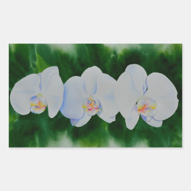Elegant tropical white watercolor orchid painting  sticker (Front)