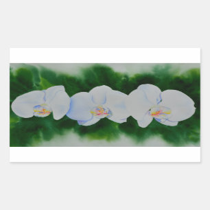 Elegant tropical white watercolor orchid painting  sticker