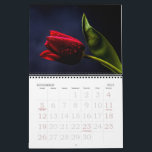 Elegant Tulip and Rose Floral Flowers Photography Calendar<br><div class="desc">Celebrate the timeless beauty of nature with this elegant tulip and rose floral photography design, created to highlight the delicate charm of two of the most beloved flowers. Featuring vivid blooms with natural detail and artistic composition, this design blends classic romance with modern sophistication, making it a versatile choice for...</div>