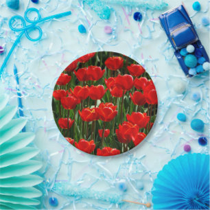 Elegant Tulip and Rose Floral Flowers Photography Paper Plate