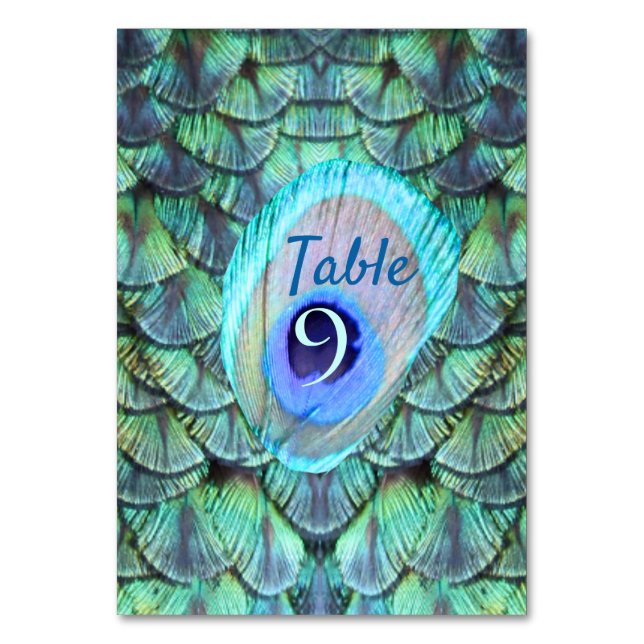 Elegant Vibrant Teal Peacock Feather Wedding Table Number (Front)