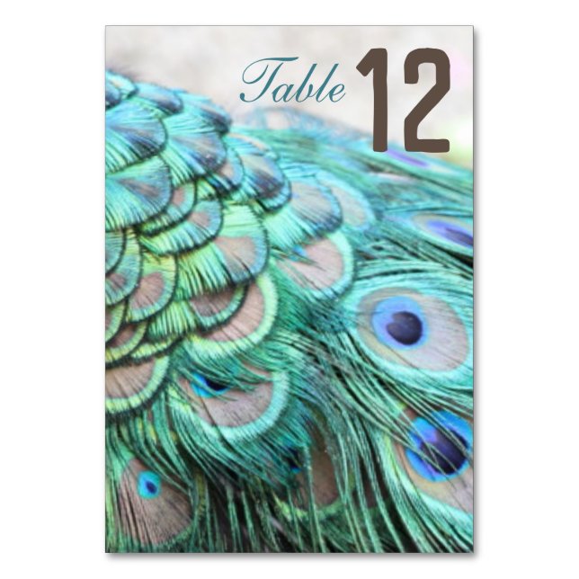 Elegant Vibrant Teal Peacock Feather Wedding Table Number (Front)