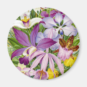 Elegant Vintage/Antique Orchids Magnet