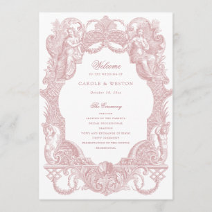Elegant Vintage Baroque Frame Dusty Rose Toile Program