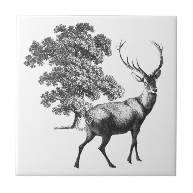 Elegant Vintage Black White Deer Toile Tile (Front)
