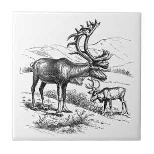 Elegant Vintage Black White Mountain Reindeer  Tile