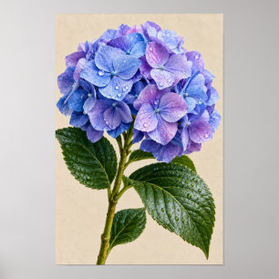 Elegant Vintage Blue Hydrangea Floral Wall Art – B