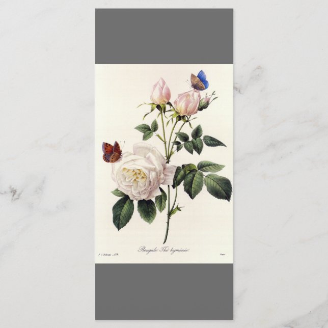 Elegant vintage botanical art grey bookmark program (Front)