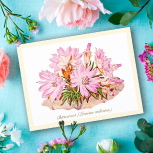 Elegant Vintage Botanical Bitterroot Flower Postcard