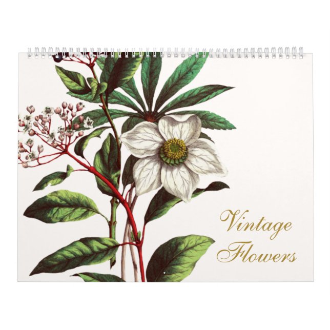 Elegant Vintage Botanical Flower Illustrations  Calendar (Cover)