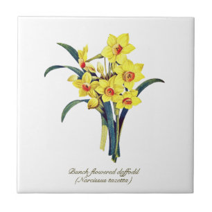 Elegant Vintage Botanical Flowers Yellow Daffodils Tile