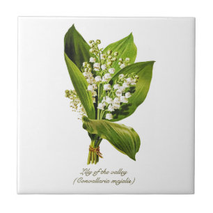 Elegant Vintage Botanical  Lily of the valley Tile