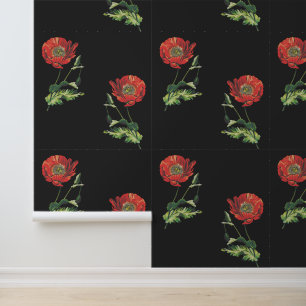 Elegant Vintage Botanical Red Poppy Black Wallpaper