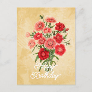 Elegant Vintage Dianthus Chinensis Flower Birthday Postcard