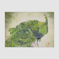 Elegant Vintage Green Peacock