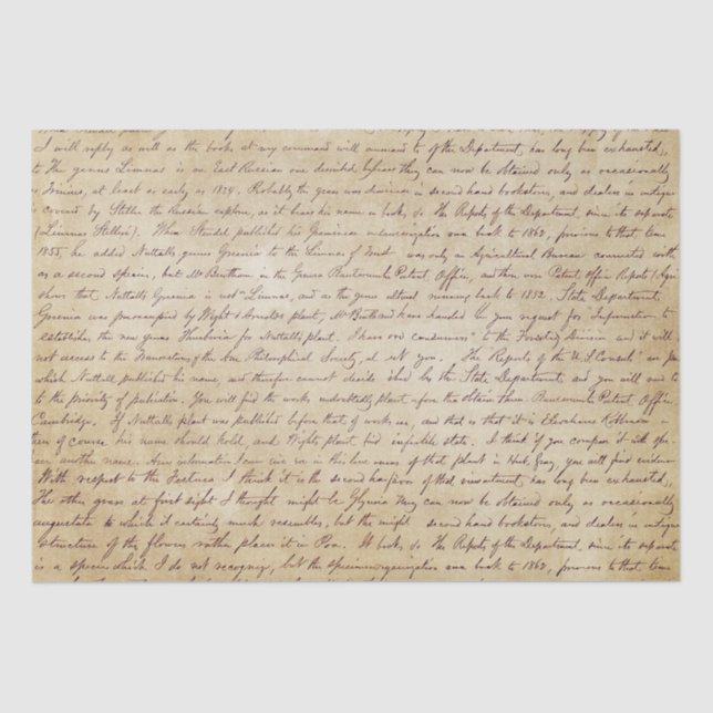 Elegant Vintage Handwritten Letter Script  Tissue Paper (Front)