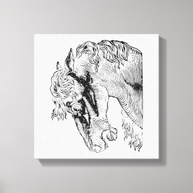 Elegant Vintage Horse Illustration Canvas Print (Front)