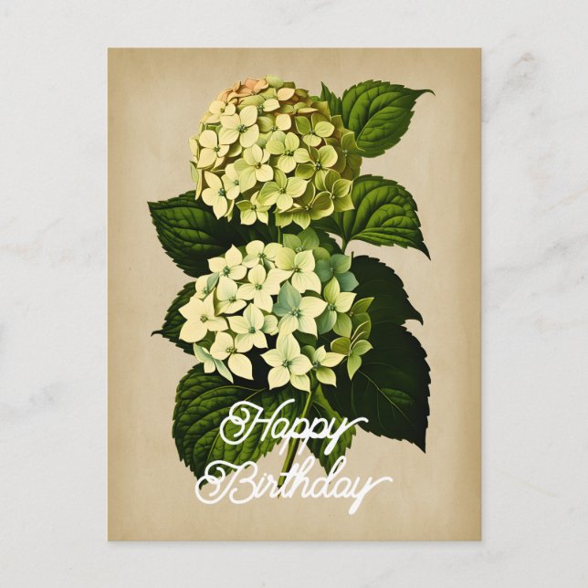 Elegant Vintage Hydrangea Flower Happy Birthday Postcard (Front)