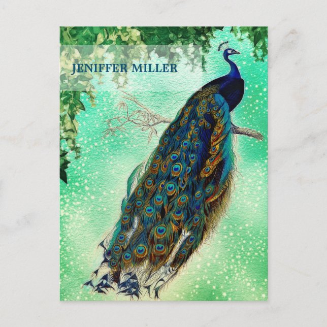 Elegant vintage peacock artwork                    postcard (Front)