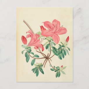Elegant Vintage pink floral postcard