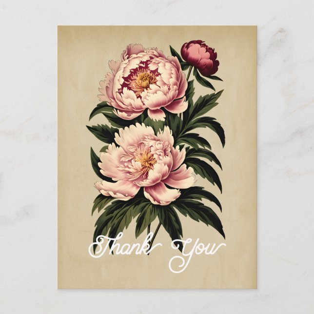 Elegant Vintage Pink Peony Flower Thank You Postcard (Front)