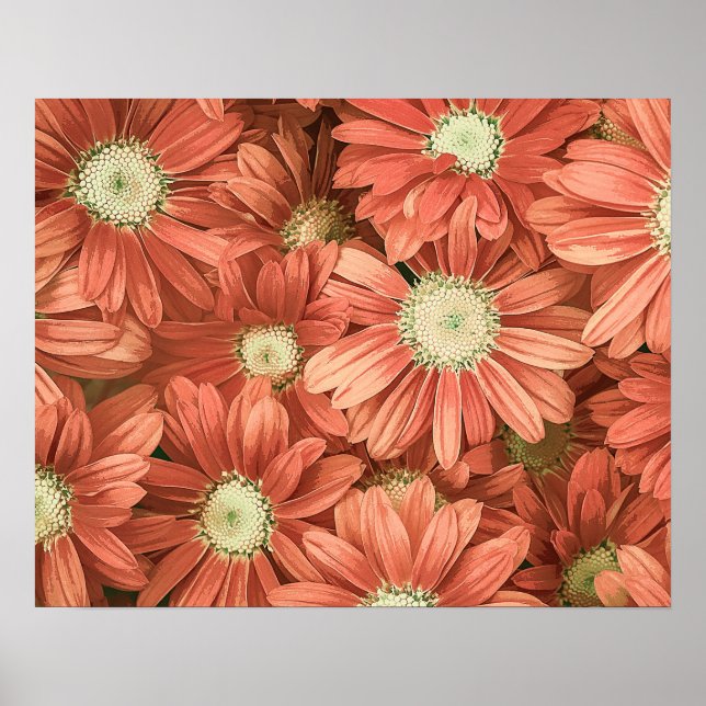 Elegant Vintage Pink Sunflowers Acrylic Artwork | Poster (Front)