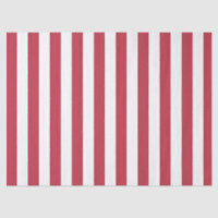 Elegant Vintage Red and White Striped Pattern